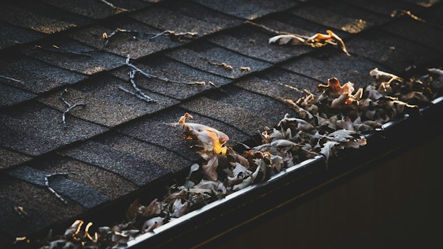 Roof gutter filled with fallen leaves